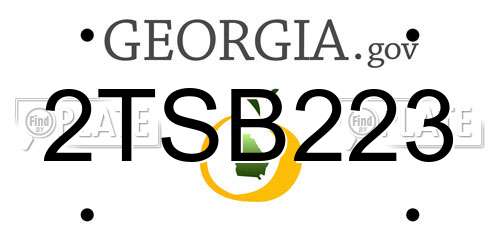 2TSB223 Georgia License Plate
