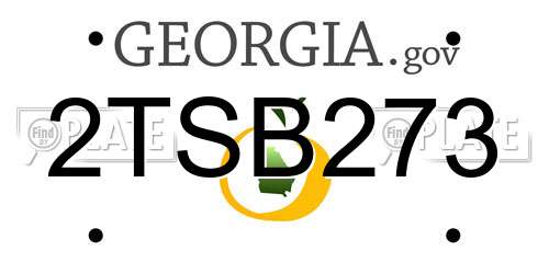 2TSB273 Georgia License Plate