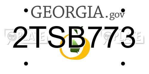 2TSB773 Georgia License Plate