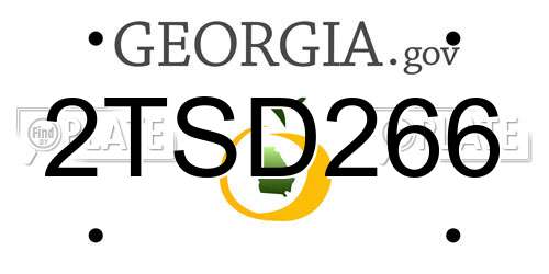 2TSD266 Georgia License Plate