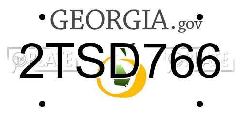 2TSD766 Georgia License Plate