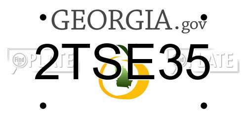 2TSE35 Georgia License Plate