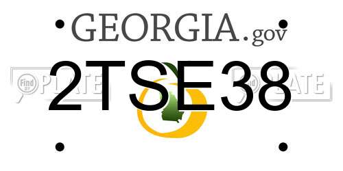 2TSE38 Georgia License Plate