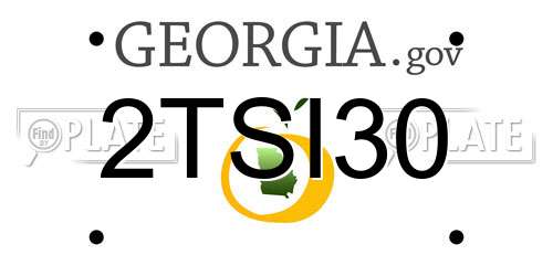 2TSI30 Georgia License Plate