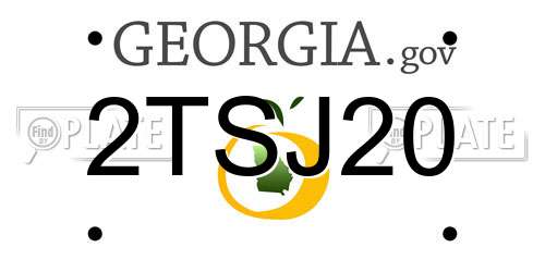 2TSJ20 Georgia License Plate