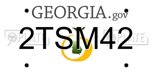 2TSM42 Georgia License Plate