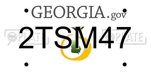 2TSM47 Georgia License Plate