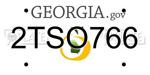 2TSO766 Georgia License Plate