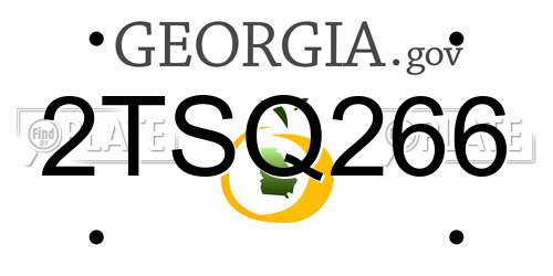 2TSQ266 Georgia License Plate