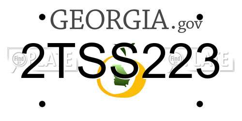 2TSS223 Georgia License Plate