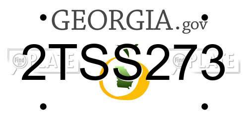2TSS273 Georgia License Plate