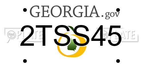 2TSS45 Georgia License Plate