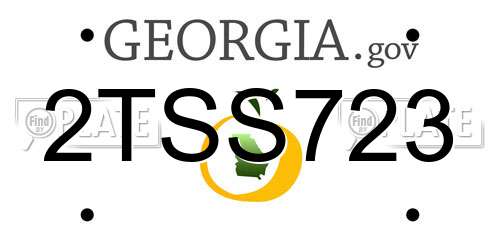 2TSS723 Georgia License Plate