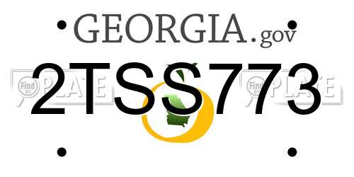 2TSS773 Georgia License Plate