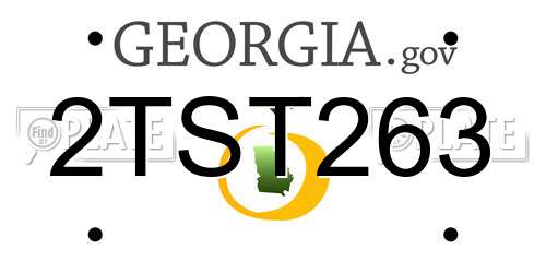 2TST263 Georgia License Plate