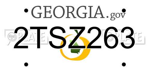 2TSZ263 Georgia License Plate
