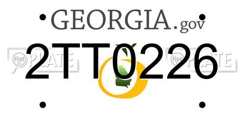 2TT0226 Georgia License Plate