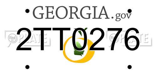 2TT0276 Georgia License Plate