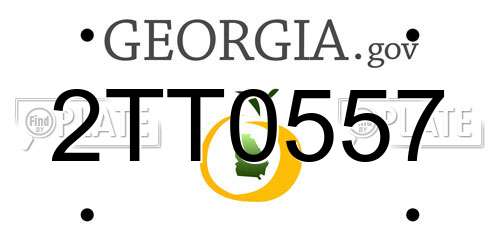 2TT0557 Georgia License Plate