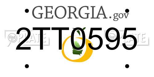 2TT0595 Georgia License Plate