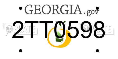 2TT0598 Georgia License Plate