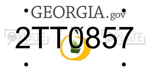 2TT0857 Georgia License Plate