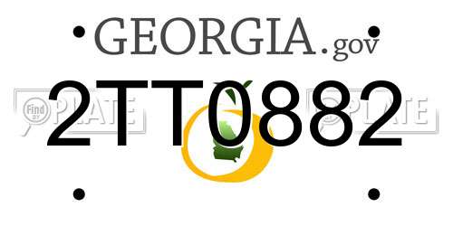 2TT0882 Georgia License Plate
