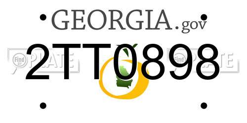 2TT0898 Georgia License Plate