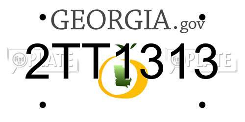 2TT1313 Georgia License Plate