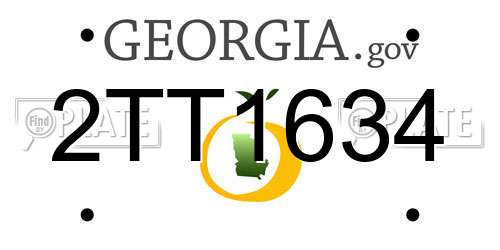 2TT1634 Georgia License Plate