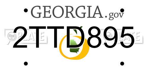 2TTD895 Georgia License Plate