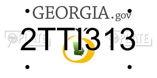 2TTI313 Georgia License Plate
