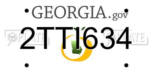 2TTI634 Georgia License Plate