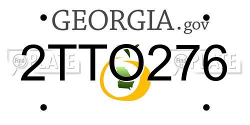 2TTO276 Georgia License Plate