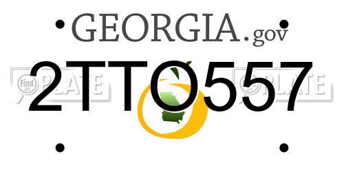 2TTO557 Georgia License Plate