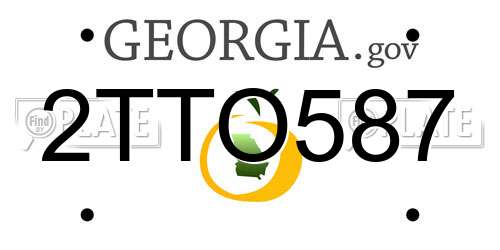 2TTO587 Georgia License Plate