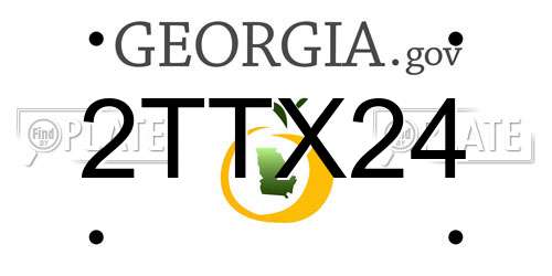 2TTX24 Georgia License Plate