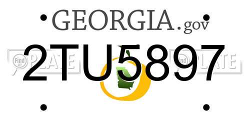 2TU5897 Georgia License Plate