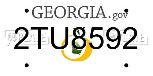2TU8592 Georgia License Plate