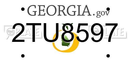 2TU8597 Georgia License Plate