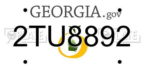 2TU8892 Georgia License Plate