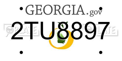 2TU8897 Georgia License Plate