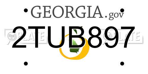 2TUB897 Georgia License Plate