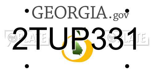 2TUP331 Georgia License Plate