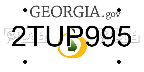2TUP995 Georgia License Plate