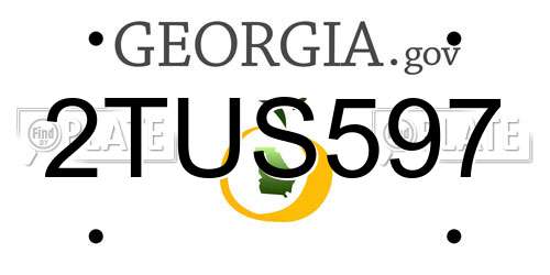 2TUS597 Georgia License Plate