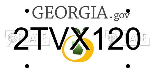 2TVX120 Georgia License Plate
