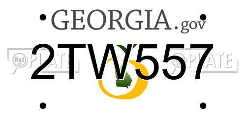 2TW557 Georgia License Plate