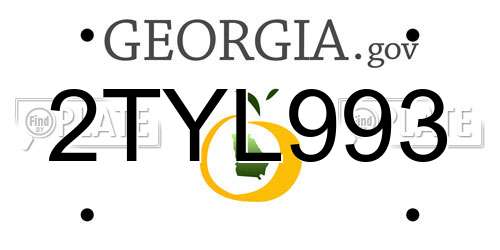 2TYL993 Georgia License Plate