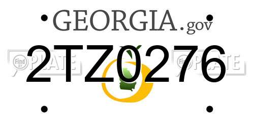 2TZ0276 Georgia License Plate